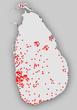 KAG Network Sri Lanka